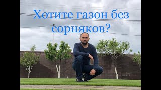 ГАЗОН без сорняков