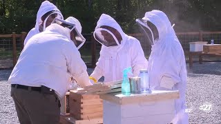 Leon County Sheriff's Office launches inmate reentry program with beekeeping