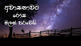 අවාසනාවට රෝස මලක් පරවෙයි,,,,,,,,,,,,,,,,,,,,,,,,,,