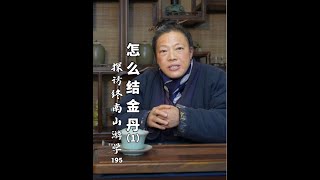 探访终南山游学（195） #修行 #终南山 #道家文化 #终南山隐士