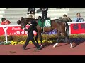 2011 02 26　阪神11rアーリントンcパドック　1着ノーザンリバー