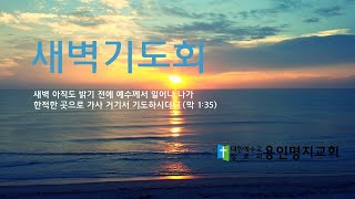 20210711 l 새벽기도회 l 시험을 이기게 하시는 하나님 l 약 1,12-18