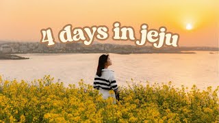 life as a photographer (jeju edition): cafe visits, sunset views, destination shoots with clients!