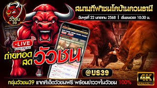 🔴LIVE วัวชนสดวันนี้ | สนามชนโคบ้านควนธานี | วันที่ 22 ม.ค. 68 | วัวชน วัวชนสด ดูวัวชน วัวชนวันนี้