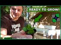 Loading Plants in the Reactivated Hydroponic System | Week 1 | NFT 72