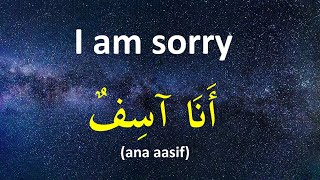 Learn Arabic while you Sleep (English - Arabic)