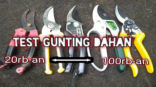 Test beberapa jenis gunting dahan,  hasston, tjap mata, fukuda, kenmaster.