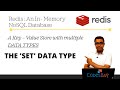Redis Set Data Type  - The In Memory NoSQL Database