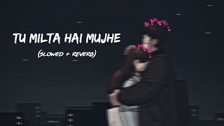 Tu Milta Hai Mujhe (Slowed + reverb) || Slowed reverb song || Love story song || Lo-Fi slowed reverb