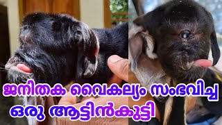 ജനിച്ച് വീണത് ഈ രൂപത്തിൽ 😔😔... കരളലിയിക്കുന്ന ഒരു കാഴ്ച/chromosomal abnormalities😔/vpm family vlogs😍