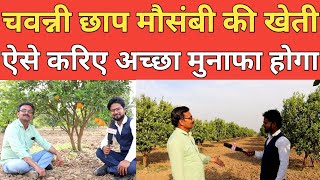 Mosambi ki kheti  - मोसंबी की खेती से आप कितना कमा सकते हैं- Mosambi ki kheti kaise kare #mosambi