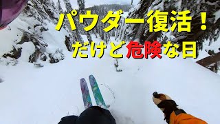 ２週間ぶりに１晩で４０cm雪が積もると起こる事