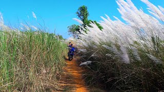 #നെൽ വയൽ  #ഗ്രാമീണ സൗദര്യം #beauty of kerala village