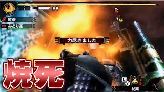 【神回】BCで絶世の死を遂げてぶちギレる男【MH4G】