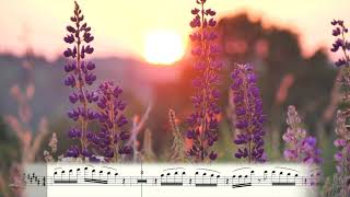 Yiruma - River Flows in You (Sheet Music for Saxophone Tenor)