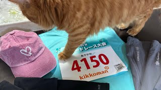 流山ロードレース１０キロ　人生初のマラソン大会　半年間の練習の答え合わせ＃流山ロードレース＃１０キロ走＃流山＃練習の成果＃努力は必ず報われる＃今の努力は１０年後に反映される