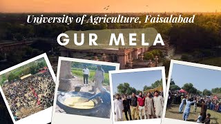 Gur Mela University of Agriculture, Faisal Abad 202 | Cultural Festival | Punjab Tradition |