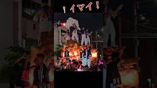 マイマイっ❕  宮入：野堂東組【平野郷だんじり/杭全神社 夏祭り2024】