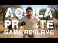 Wild Africa Safari | Aquila Private Game Reserve
