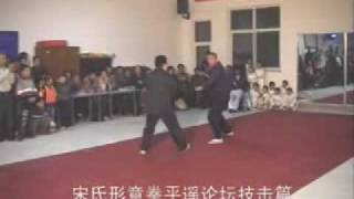 Xing Yi Quan Freestyle Combat