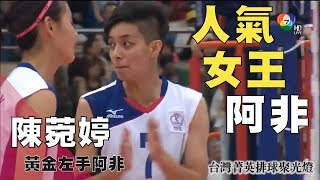 黃金左手阿非 Queen of left - 陳菀婷 | 副攻手 台灣菁英排球聚光燈 TaiwanEpicVolleyball