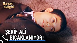 ŞERİF ALİ'YE BIÇAKLI SALDIRI | Hayat Bilgisi 104. Bölüm