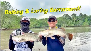 带钓友解锁新邮票， 还好没空军。 Landbase Fishing Baiting \u0026 Luring| Barramundi Fishing |#fishing #钓鱼 #pancing