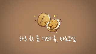 우리 가족 건강을 위한 하루 한 줌 견과류, 바로코앞 _VINK