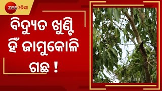 Balasore: Digital Meter କୁ ବାଉଁଶ ହୁକ, ଖୁଣ୍ଟ ନଥିବାରୁ ଜାମୁକୋଳି ଗଛ ବନିଛି ସାହାରା । Ama Gaon Khabar