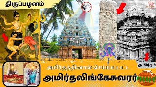 🍚 அமிர்தத்தால் செய்யப்பட்ட அமிர்தலிங்கேசுவரர் l திருவையாறு ஏழூர் திருவிழா #yathrigan #Aanmeegam