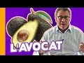 🥑L'Avocat : Aliment-Miracle ou Réserve de Graisses ? Jean-Michel Cohen