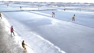 Incredible Way They Produce Millions of Tons of Salt by Hands