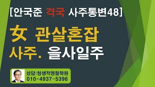 안국준 사주 통변 48 (여자 관살혼잡 사주 을사 일주)