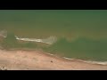 la albufera de valencia un paraje natural Único