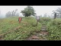 トレラン：北八ヶ岳ロープウェイ山麓から山頂まで