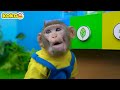 series of pringles chips monkey koko challenge with pringles vending machine kudo koko channel