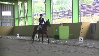 2018.5.12 第90回関東学生馬術選手権大会 関東学生馬術選手権 3回戦（馬場馬術競技） 高橋駿人 ダイナ号