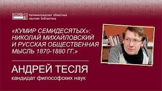 Кумир семидесятых: Николай Михайловский и русская общественная мысль 1870 - 1880 гг.