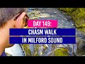 DAY 149 🗺️ Chasm Walk and Other Free Walks - Milford Sound - New Zealand Travel