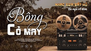 Bông Cỏ May, Chuyện Ba Mùa Mưa - LK Nhạc Vàng Hải Ngoại Xưa Bất Hủ Nghe Là Ngủ - Công Tuấn Bolero