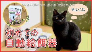 初めて買った自動ペット(給餌器)フィーダーのご紹介［黒猫 保護猫］～Review of the first automatic pet feeder I bought!～