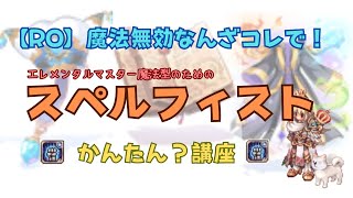 【RO】魔法無効にスペルフィスト【エレメンタルマスター】