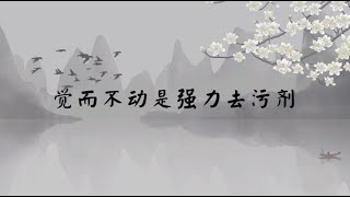 【子归家】聊天室 | No.2416 觉而不动是强力去污剂 | 法门类 觉而不动 止 | 03 佛教修证系列 | 杨宁