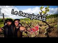 Bons vivants dans le Beaujolais 🇫🇷🥩🐷🍷🐸 - Gueuleton