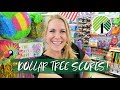 BEST DOLLAR TREE PRODUCTS RIGHT NOW! 💚