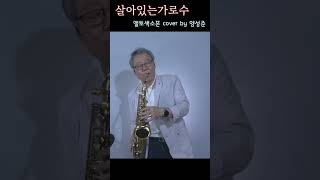 살아있는가로수 – 이미자/조미미/#altosaxophone #shorts