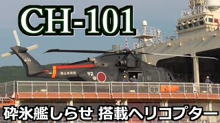 CH-101 ] 海上自衛隊 #砕氷艦しらせ 搭載 輸送ヘリコプター 艦上展示🚁　@長崎水辺の森公園埠頭