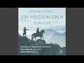 Ein Heldenleben, Op. 40, TrV 190: No. 3, Des Helden Gefährtin