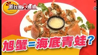 旭蟹=海底青蛙？丟網抓蟹有撇步！惡霸魚虎 小黃瓜輕易咬斷《新台灣大體驗》第164集 廖慶學