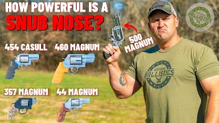 How POWERFUL Is A Snub Nose Revolver ACTUALLY?(500 S\u0026W,460 S\u0026W,454 Casull \u0026 More !!!)